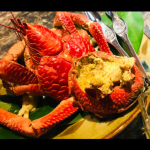宮古島ヤシガニ miyakojima_coconutcrab