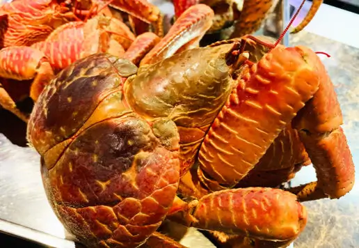 宮古島の高級食材 ヤシガニが食べれる店 琉球割烹ふぁいみーる
