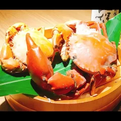 miyakojima-mangrove-crabs-gourmet。宮古島のベテラン漁師でも月に数個体しか捕獲できない濃厚な甘みと大きな爪の食感を味わう幻の天然マングローブ蟹料理